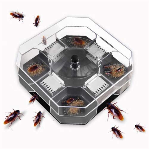 Effective Cockroach Trap Capture All Kinds of Roaches Non-Toxic and Eco-Friendly