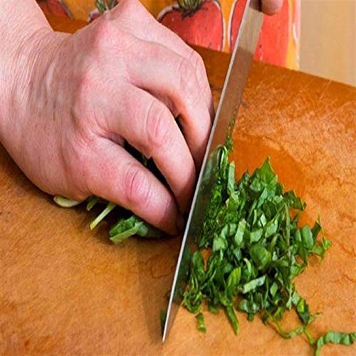 Stainless Steel Kitchen Knife Set with Wooden Chopping Board