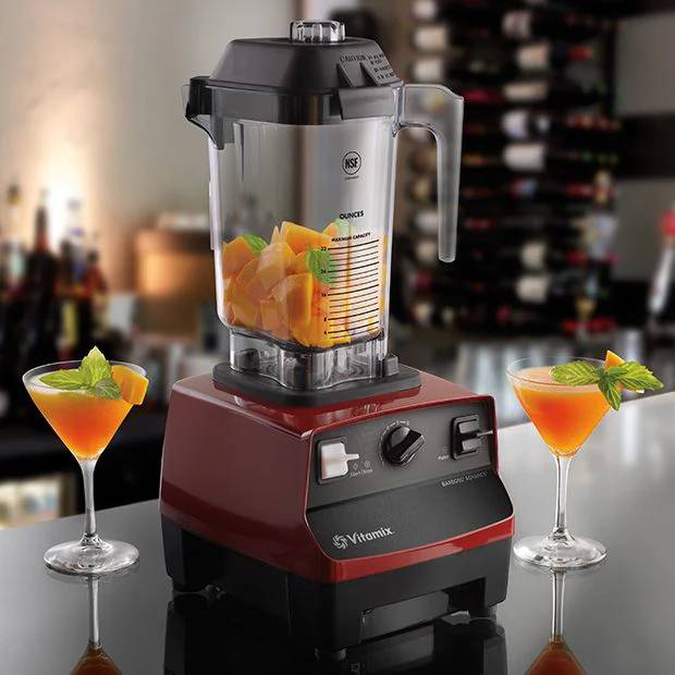 Vitamix Barboss Advance Mixer Grinder